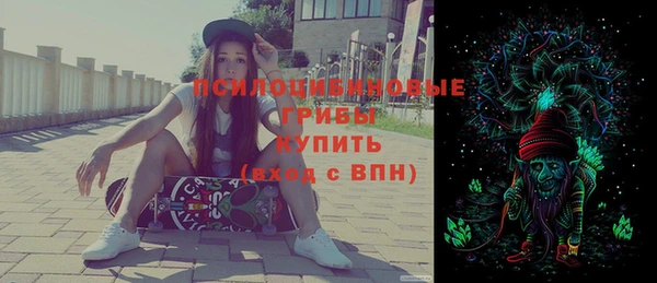 PSILOCYBIN Магадан
