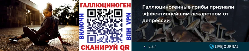 блэк спрут ССЫЛКА  Кинешма  Псилоцибиновые грибы Psilocybe 