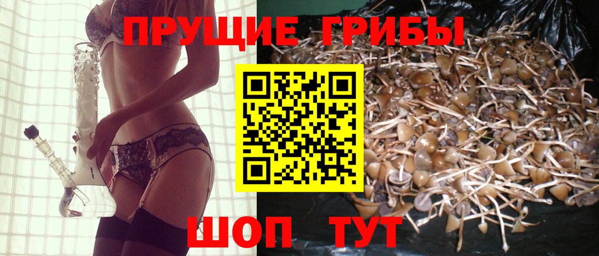Псилоцибиновые грибы GOLDEN TEACHER  Вход с VPN  Кинешма 